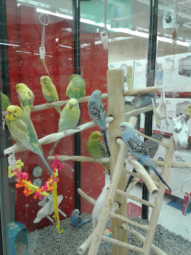 Pet Supply Store «Petco Animal Supplies», reviews and photos, 85 State St, Orem, UT 84058, USA