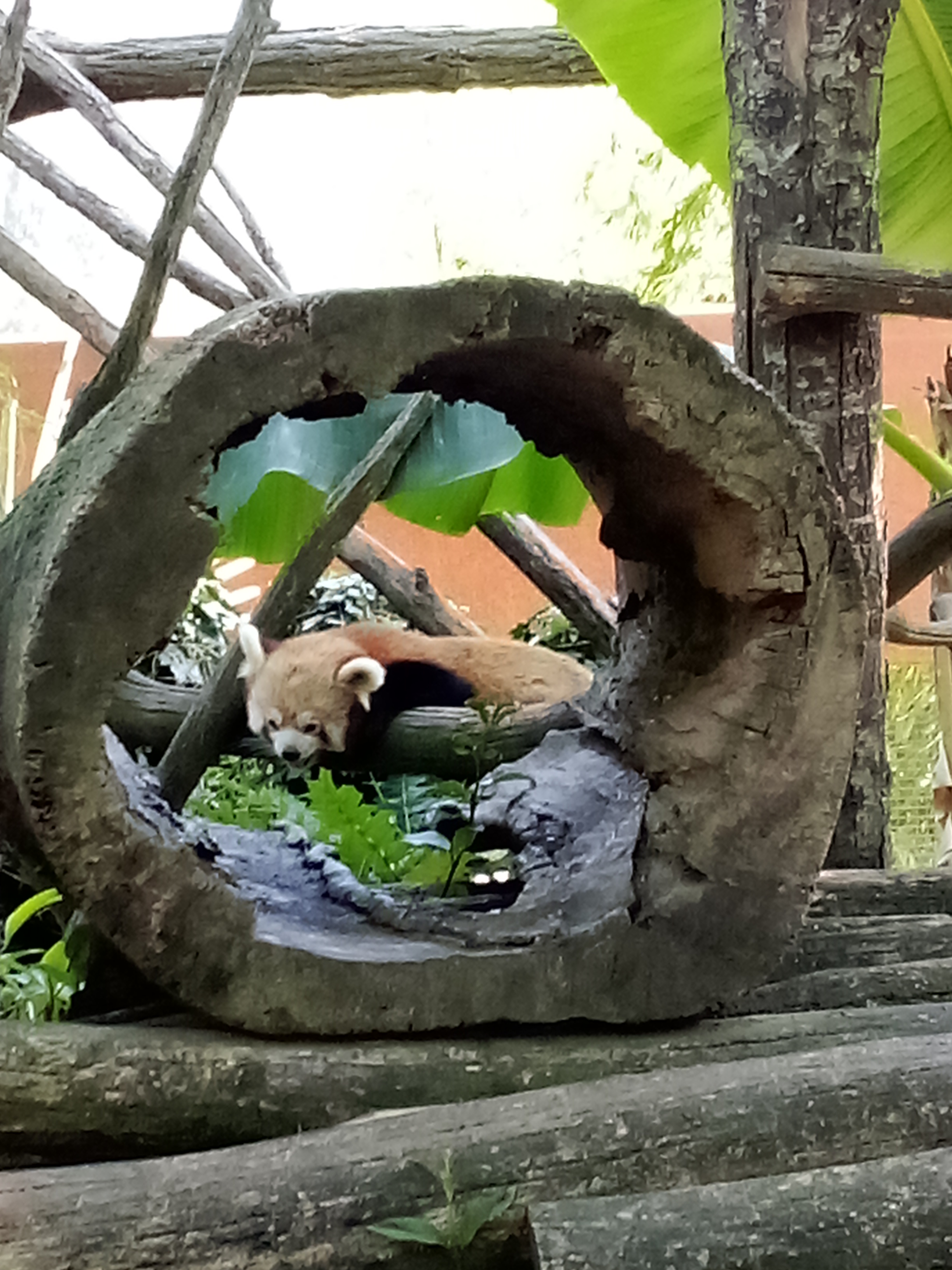 Photo n° 1 de l'avis de Bénédicte.O fait le 05/08/2023 à 17:17