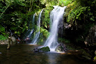 Cascade de Prapsou Albepierre-Bredons