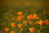 Back To Eden Lifestyle Center - Photo 5 - Car repair in , Miami Gardens