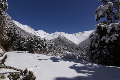 Photos of Craigieburn Valley Ski Area