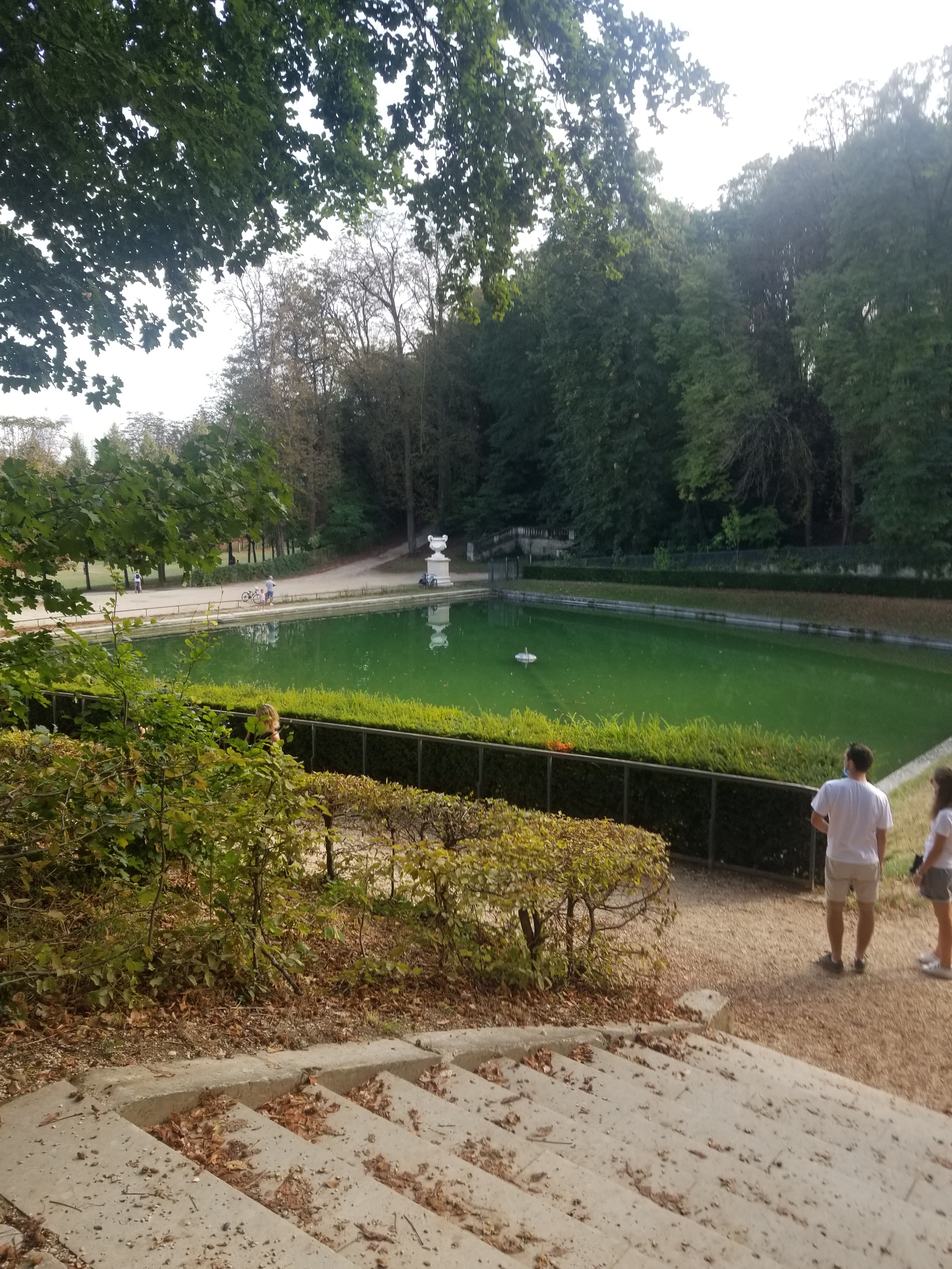 Photo n° 22 de l'avis de dary. fait le 20/09/2020 à 15:00