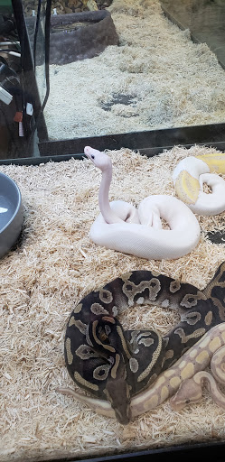 Pet Supply Store «Pet Den», reviews and photos, 1209 Nederland Ave, Nederland, TX 77627, USA