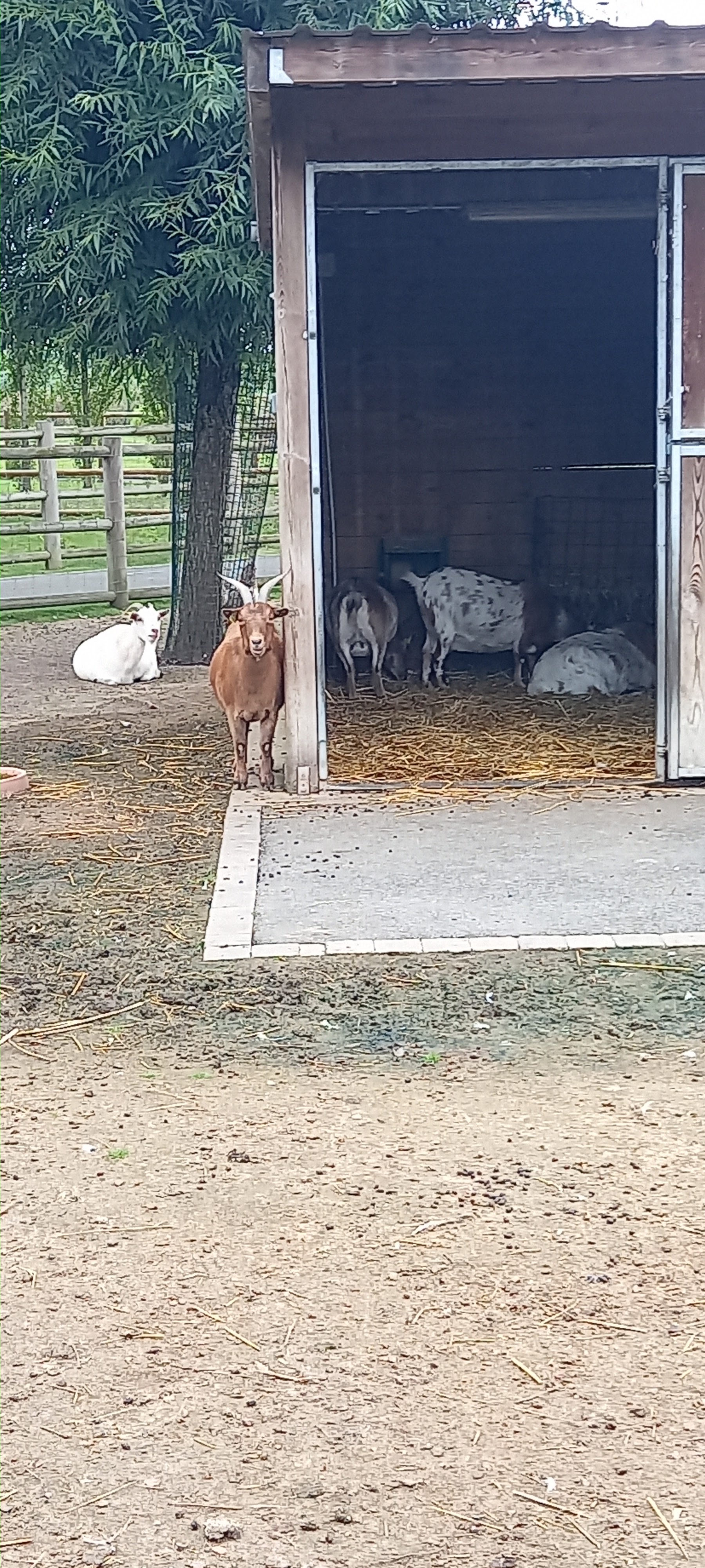 Photo n° 6 de l'avis de Lorraine.u fait le 30/08/2021 à 15:33