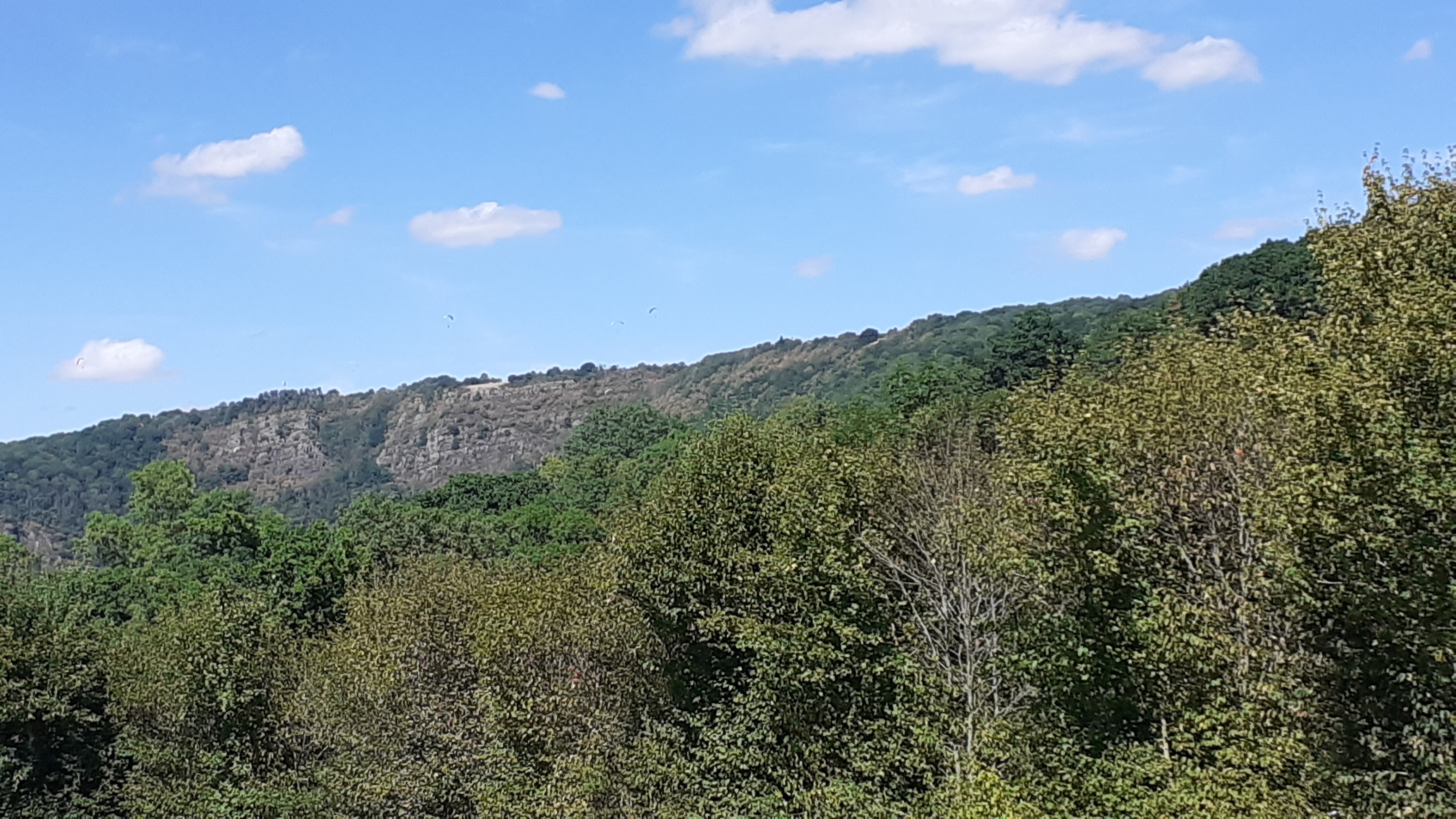 Photo n° 4 de l'avis de Sandra.a fait le 02/08/2022 à 20:10