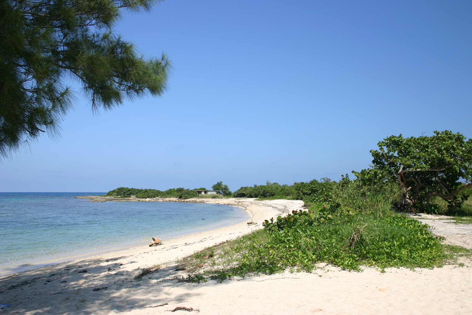 Fotografija Playa La Herradura z svetel pesek površino