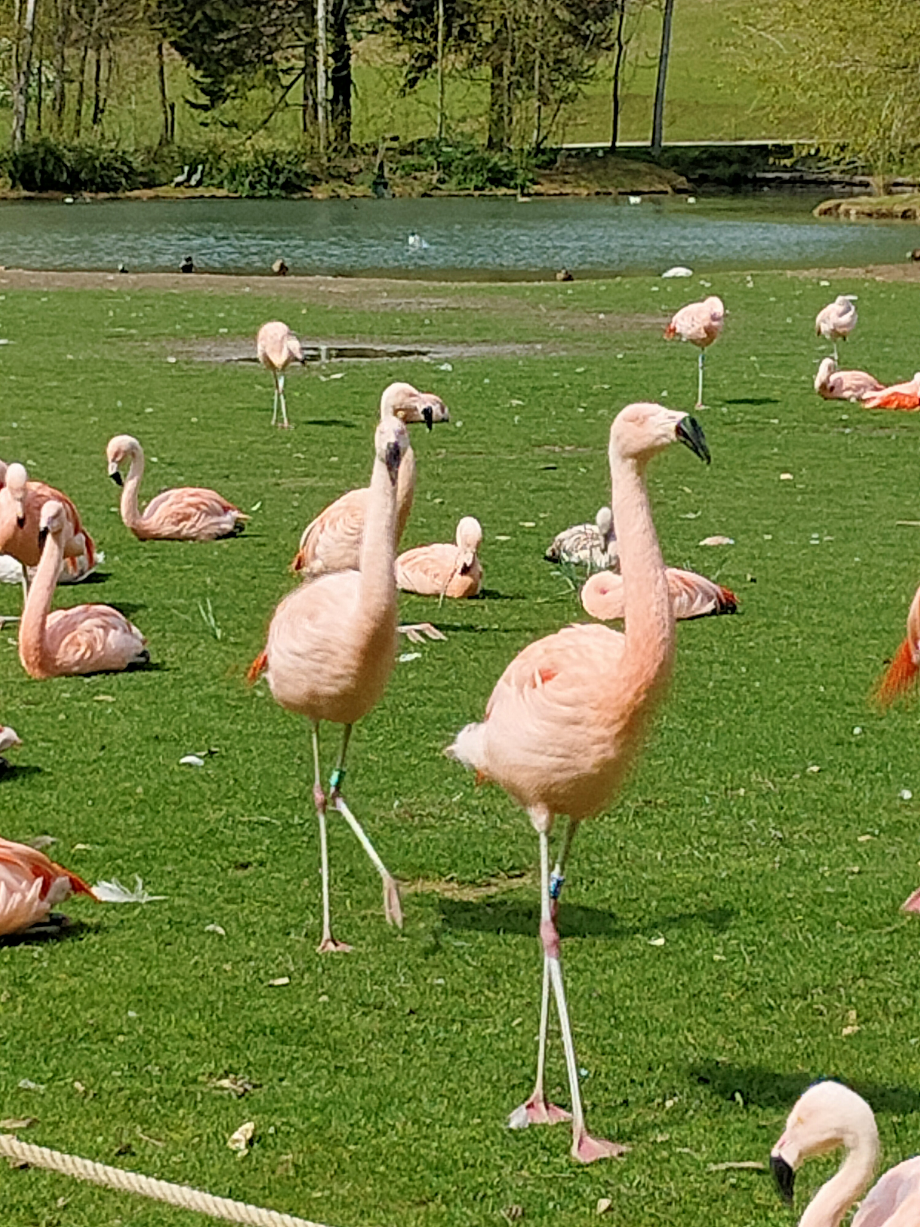 Photo n° 24 de l'avis de Eric.l fait le 16/04/2023 à 16:52