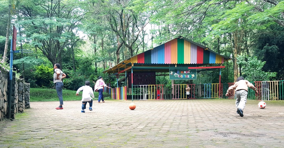 Sunflower International School, Arusha