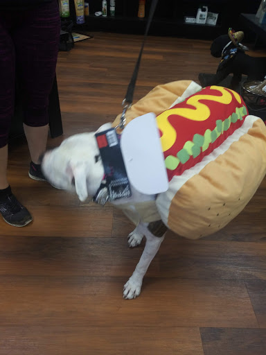 Pet Store «Pet Valu», reviews and photos, 2290 Central Park Ave, Yonkers, NY 10701, USA