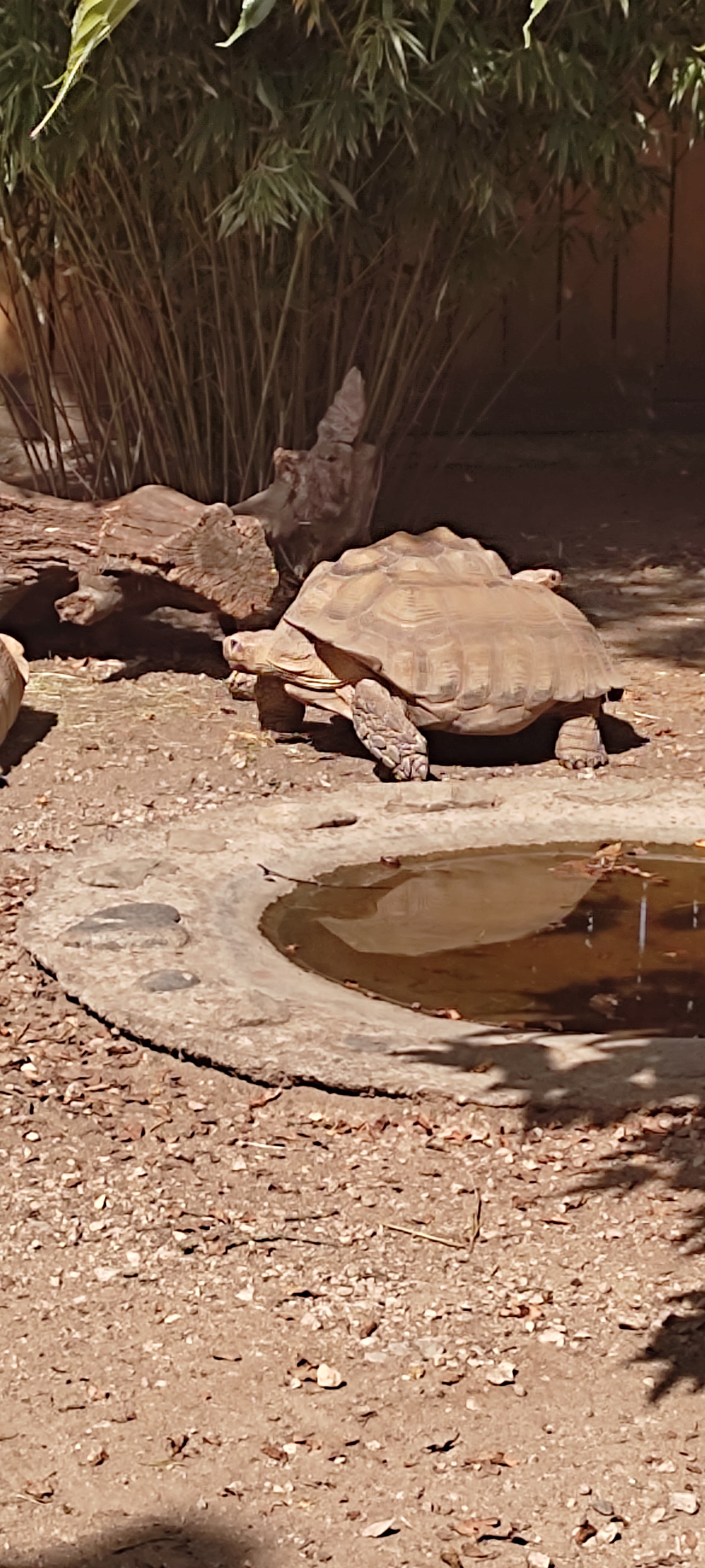 Photo n° 16 de l'avis de Astrid.i fait le 17/09/2021 à 13:14