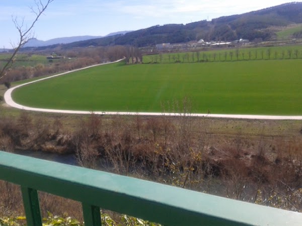 ADIESTRAMIENTO CANINO NAVARRA