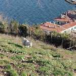 Photo n°3 de l'avis de Stefano.a fait le 22/01/2023 à 19:39 sur le  Parco della Rocca Borromea à Arona