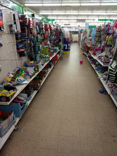 Dollar Store «Dollar Tree», reviews and photos, 341 S College Rd, Wilmington, NC 28403, USA