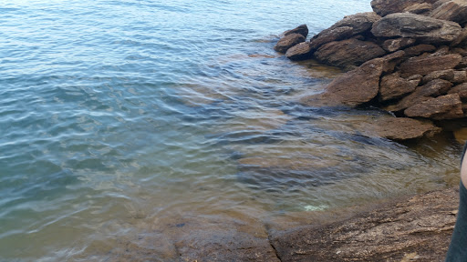 Theme Park «LanierWorld», reviews and photos, 7000 Lanier Islands Pkwy, Buford, GA 30518, USA