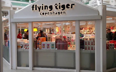 Flying Tiger image