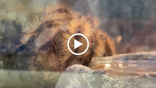 Pet Supply Store «PetSmart», reviews and photos, 860 Cobb Pl Blvd NW, Kennesaw, GA 30144, USA