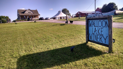 Winery «Walloon Lake Winery», reviews and photos, 3149 Intertown Rd, Petoskey, MI 49770, USA