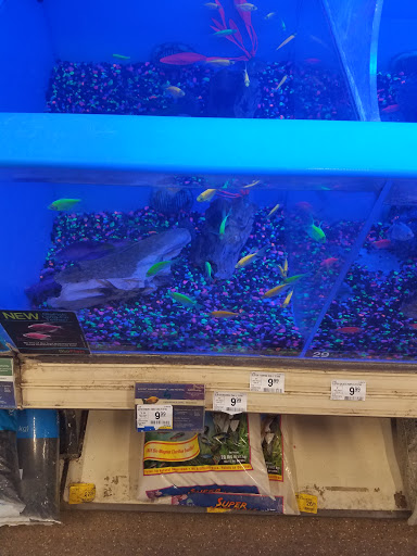 Pet Supply Store «PetSmart», reviews and photos, 5435 W TX-1604 Loop N, San Antonio, TX 78253, USA