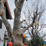 Photo n°2 de l'avis de Andre.y fait le 12/03/2024 à 21:18 sur le  Landhotel zum Metzgerwirt à Bad Bayersoien