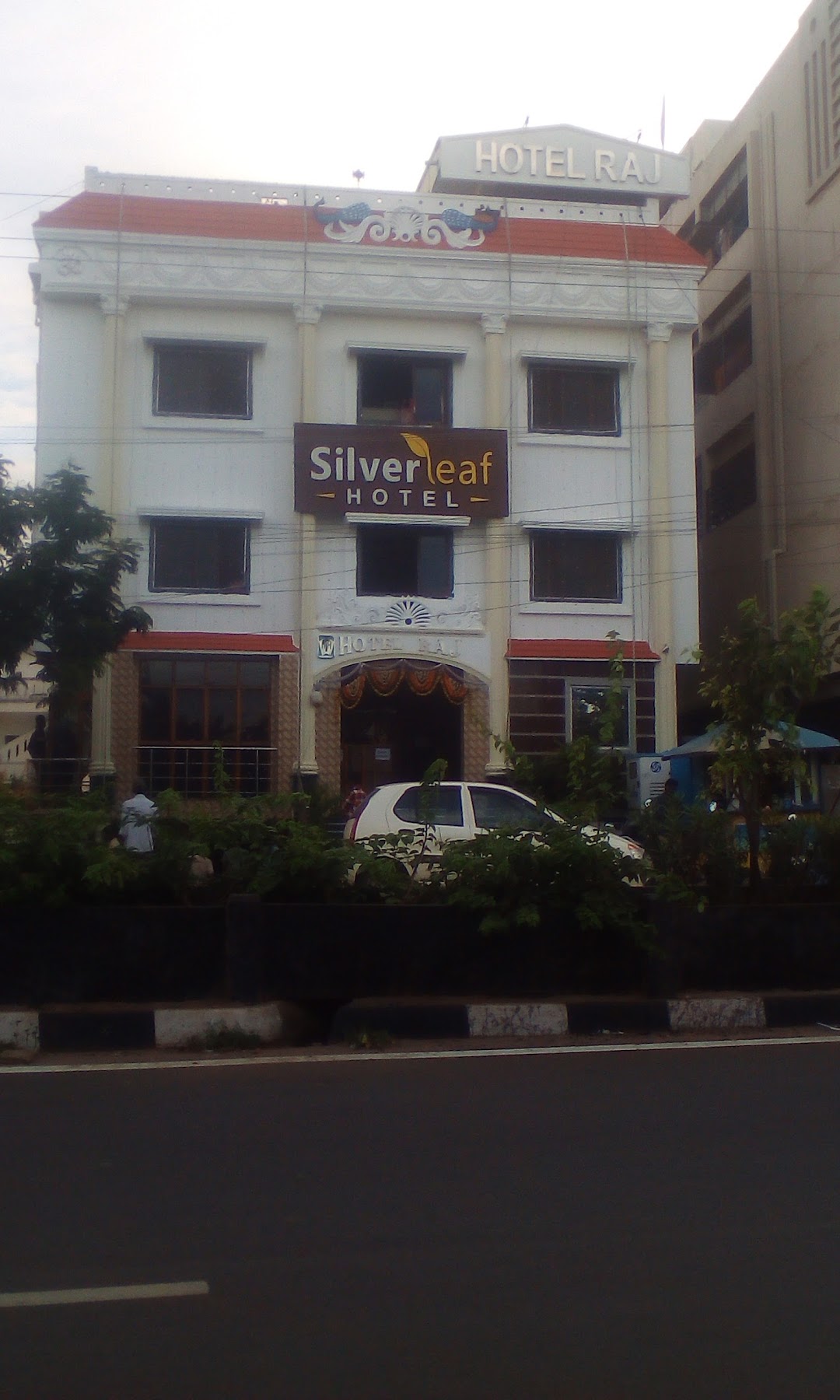 silver Leaf