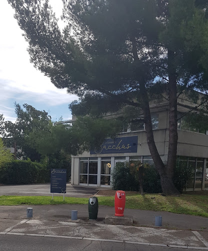 Le comptoir de Bacchus à Nîmes