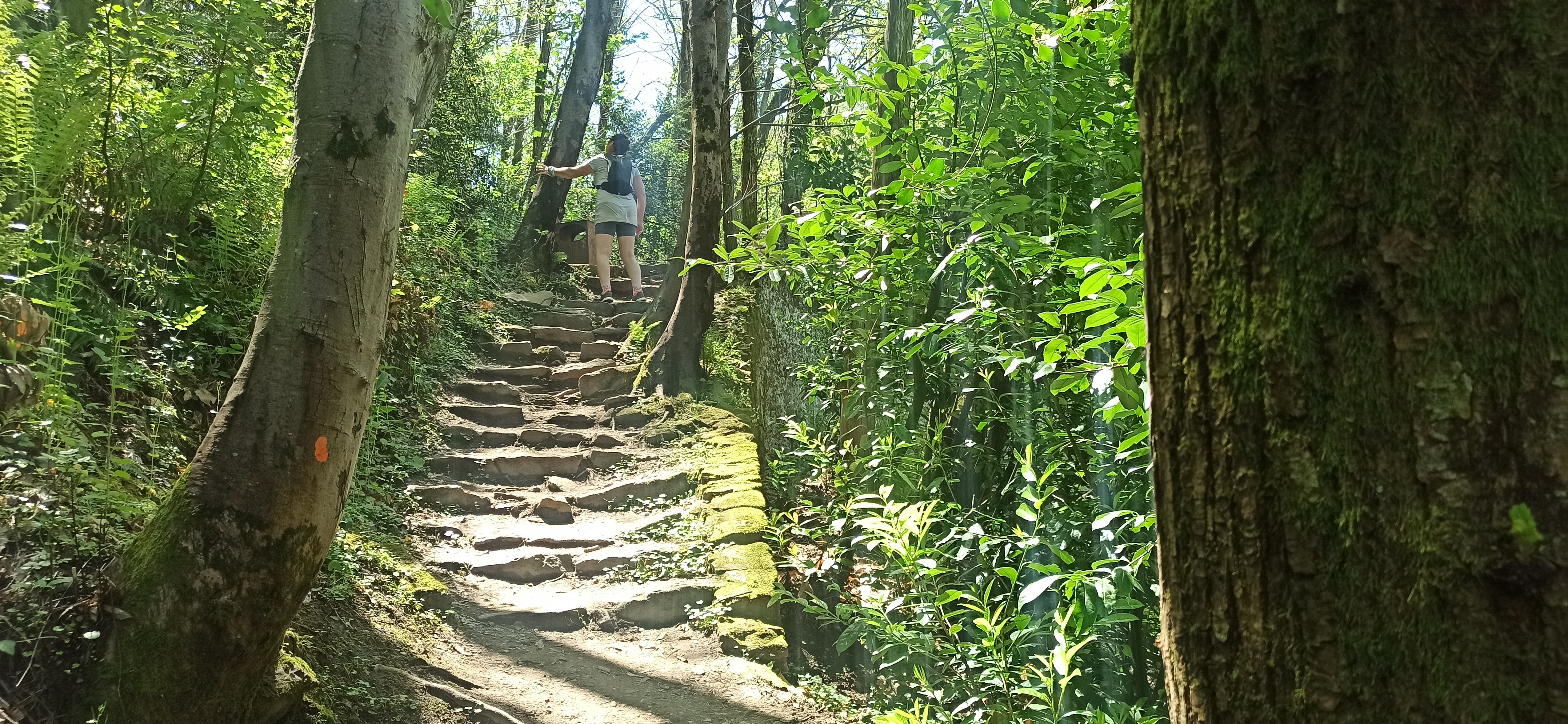 Photo n° 11 de l'avis de Frédéric.a fait le 13/05/2023 à 20:02