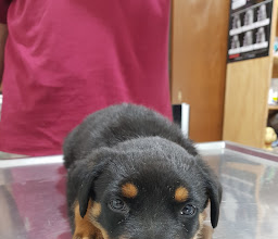 Agroveterinaria De Sonora (Matriz) photo