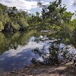 Arch Creek East Environmental Preserve (ACE Preserve)