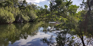 Arch Creek East Environmental Preserve (ACE Preserve)