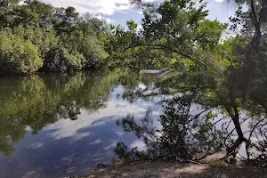 Arch Creek East Environmental Preserve (ACE Preserve) image