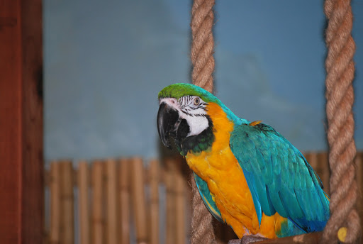 Aquarium «SeaQuest Interactive Aquarium», reviews and photos, 1201 N Hill Field Rd #1072, Layton, UT 84041, USA