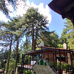 Photo n°2 de l'avis de Paolo.e fait le 26/08/2022 à 04:57 sur le  Rifugio Tre Pini di Celentano Raffaela à Vico Equense