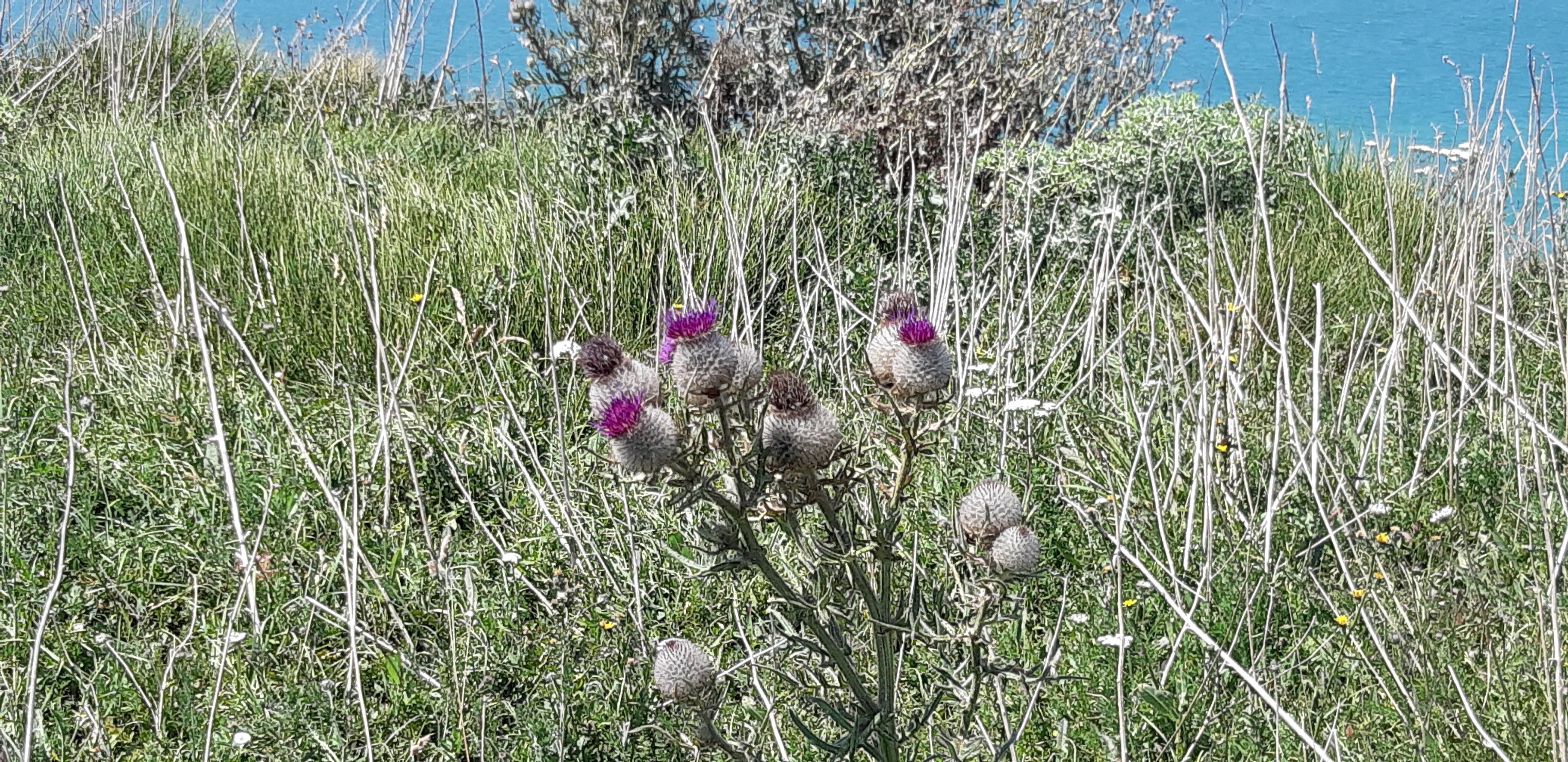 Photo n° 5 de l'avis de Philippe. fait le 17/07/2019 à 10:33