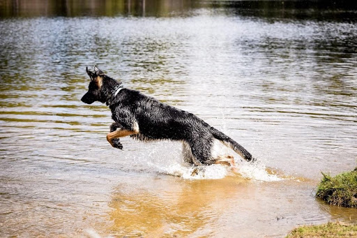 Community Center «Wason Pond Community Center, Chester NH», reviews and photos, 603 Raymond Rd, Chester, NH 03036, USA