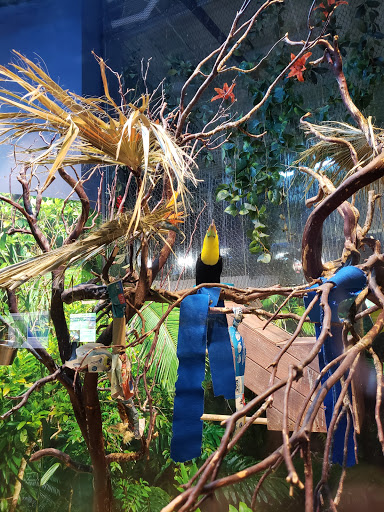 Tourist Attraction «OdySea Mirror Maze», reviews and photos, 9500 East Vía de Ventura #200, Scottsdale, AZ 85256, USA