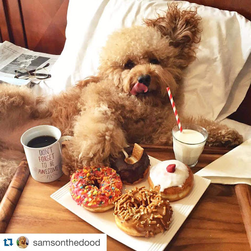 Donut Shop «Darn Donuts», reviews and photos, 8723 4th Ave, Brooklyn, NY 11209, USA