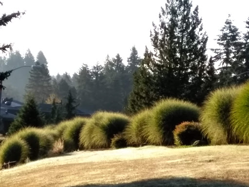 Country Club «Meridian Valley Country Club», reviews and photos, 24830 136th Ave SE, Kent, WA 98042, USA