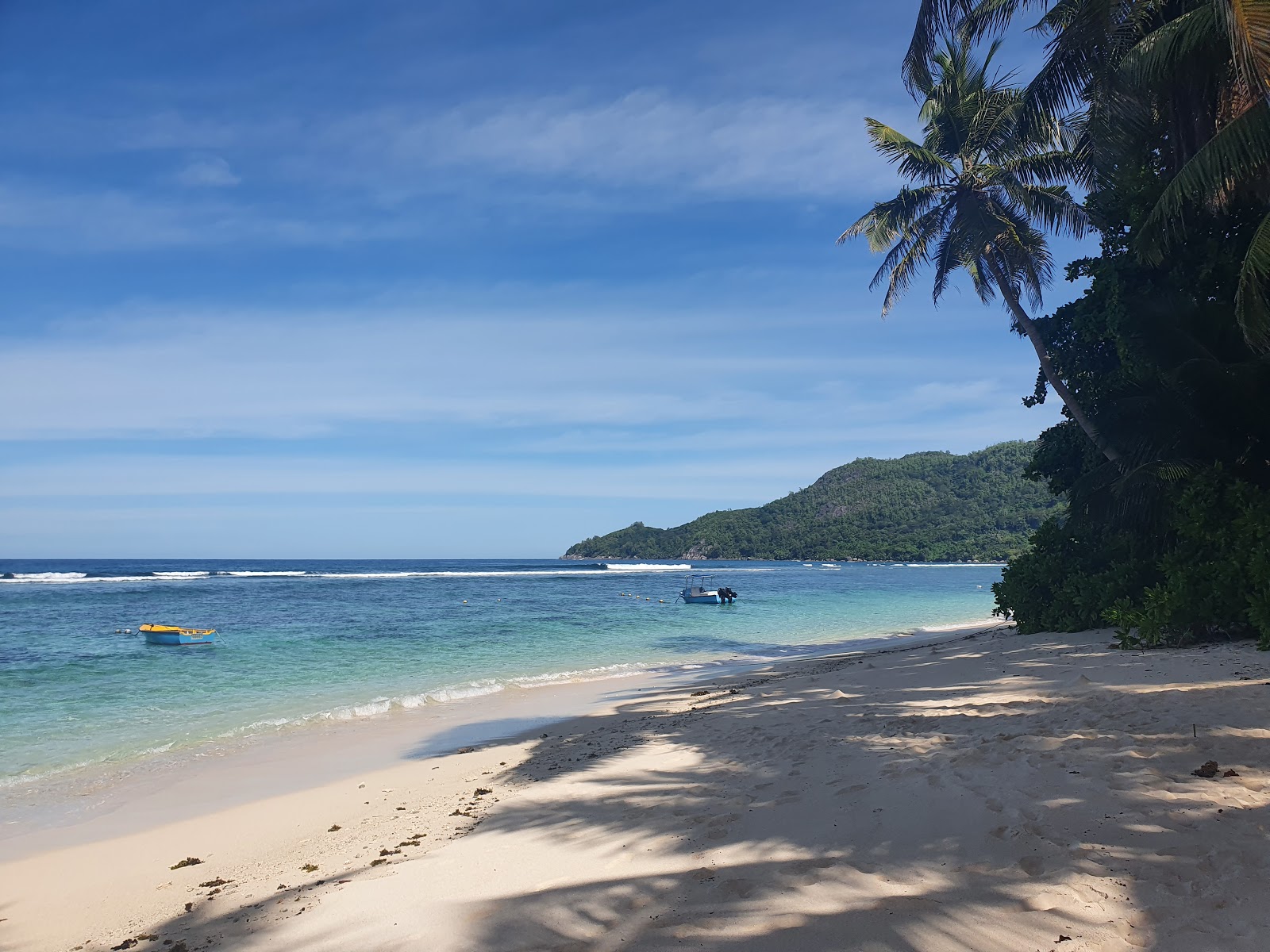 Foto di Anse Forbans Beach zona selvaggia