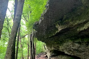 Back 40 Trails Bench image