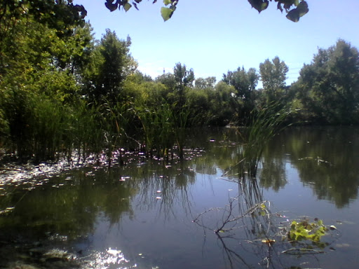 Park «Vanderbilt Park», reviews and photos, 855 S Platte River Dr, Denver, CO 80223, USA