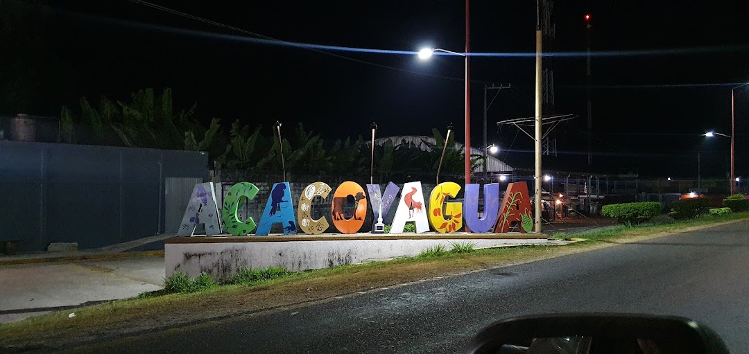 Neto Acacoyagua 824