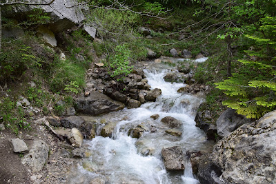 Ruisseau de Puscle à Glandage