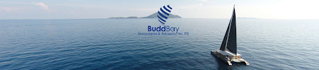Budd Bay Accountants and Advisors, Inc. PS - Photo 1 - Car repair in Olympia, WA, Olympia