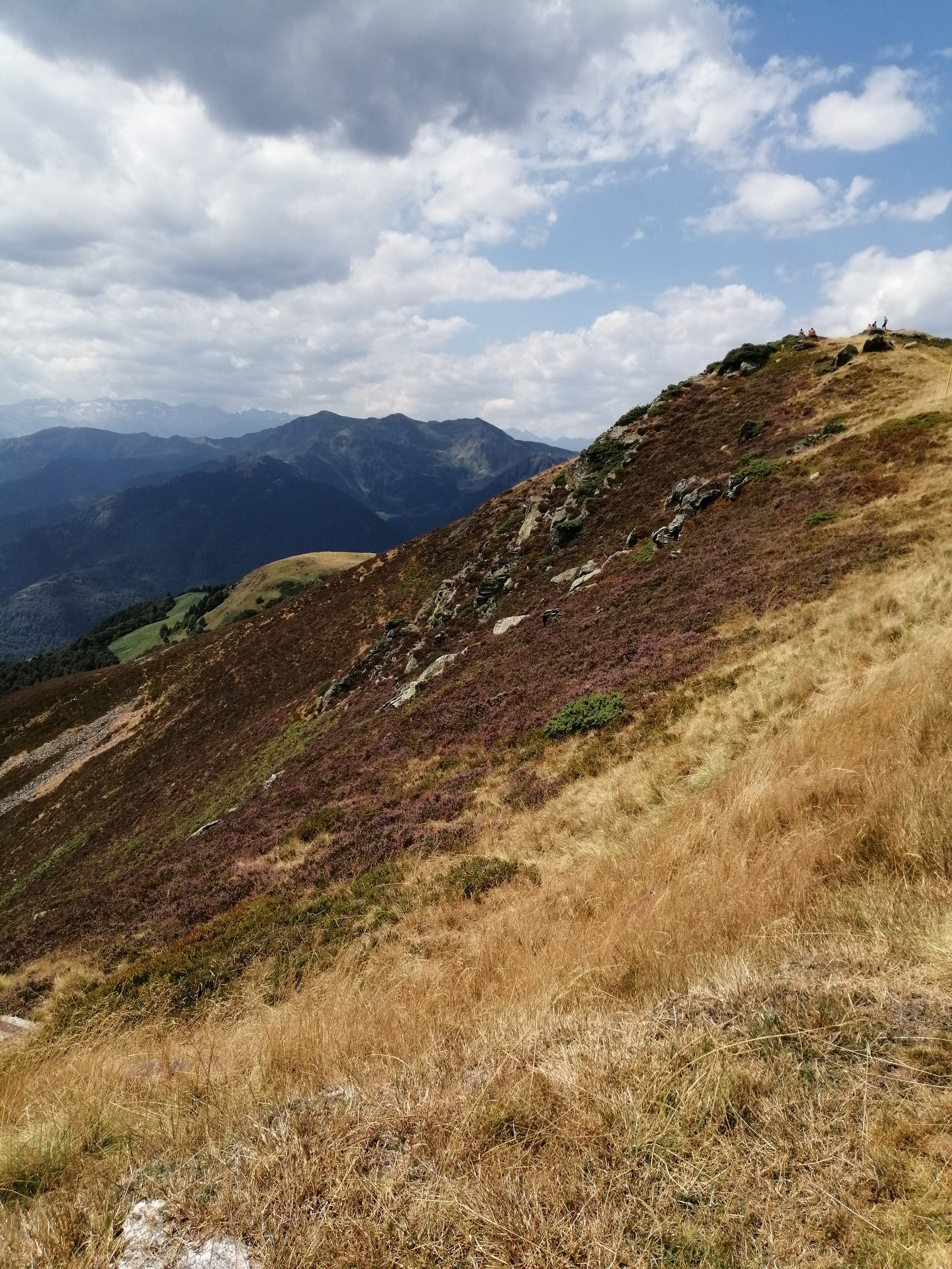 Photo n° 4 de l'avis de sylvie.a fait le 21/08/2020 à 17:07