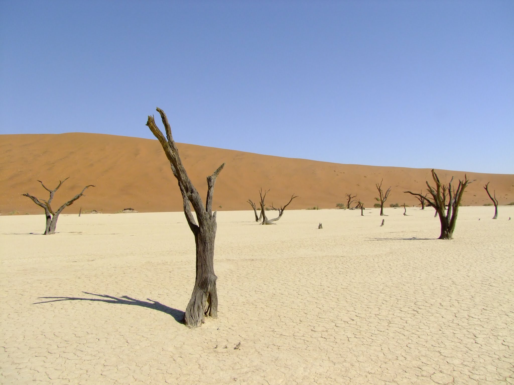 Photo n° 1 de l'avis de Nicolas.o fait le 28/02/2021 à 19:11
