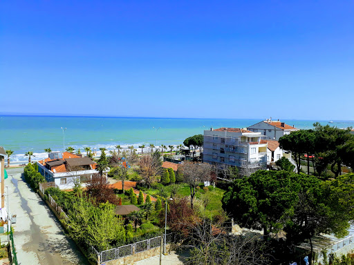 ali fuat basgil kyk yurdu c blok atakum samsun