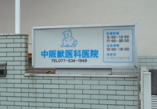 中阪獣医科医院