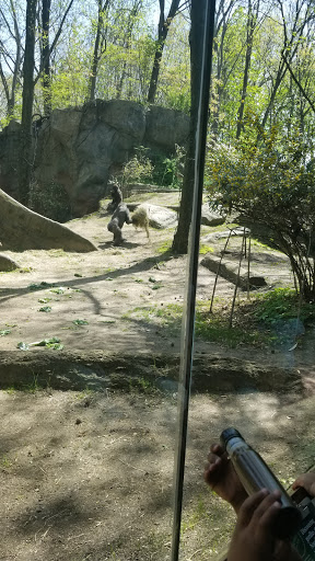 Park «Bronx zoo Park lot», reviews and photos, 2152 Crotona Pkwy, Bronx, NY 10460, USA