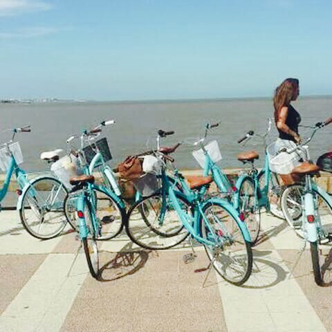 Urubike Aluguel de bicicletas Montevideo - Tienda de bicicletas