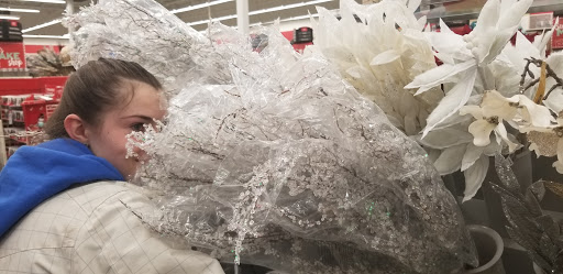 Craft Store «Michaels», reviews and photos, 2855 N 19th Ave b, Bozeman, MT 59718, USA